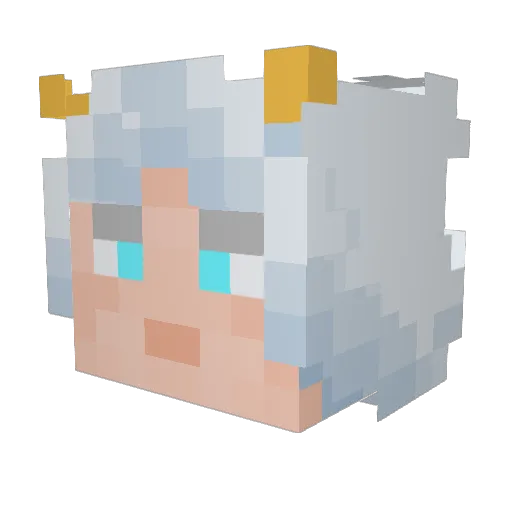 qfartp Minecraft avatar head, 3D render