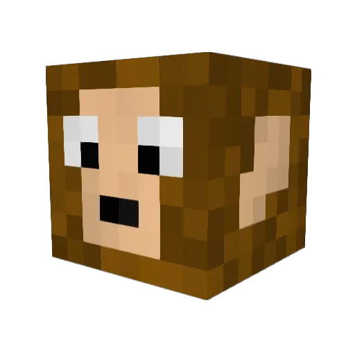qfsurfmonkey Minecraft avatar head, 3D render