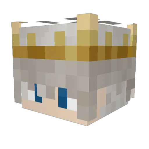 qg5r Minecraft avatar head, 3D render