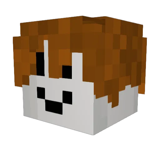 qhpzz Minecraft avatar head, 3D render