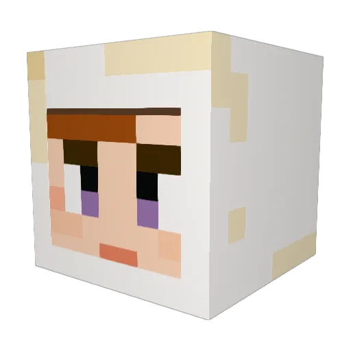 qhthd5 Minecraft avatar head, 3D render