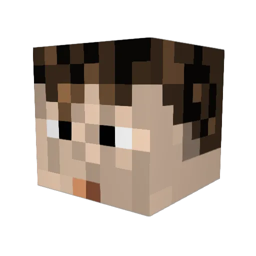 qhy_01 Minecraft avatar head, 3D render