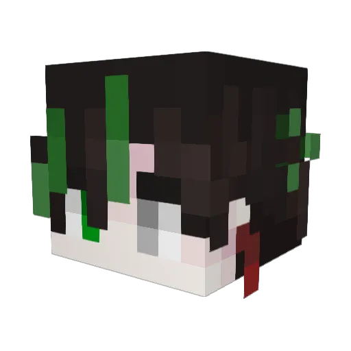 qi02 Minecraft avatar head, 3D render