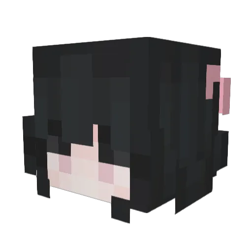qi4nqi4n Minecraft avatar head, 3D render