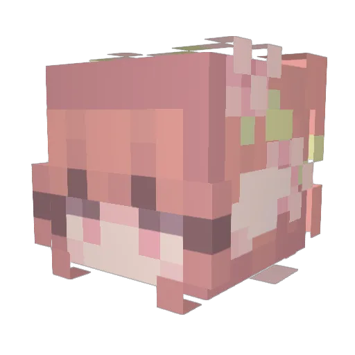 qianzhihe579 Minecraft avatar head, 3D render