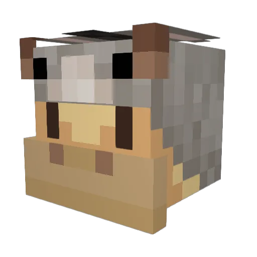 qiise Minecraft avatar head, 3D render