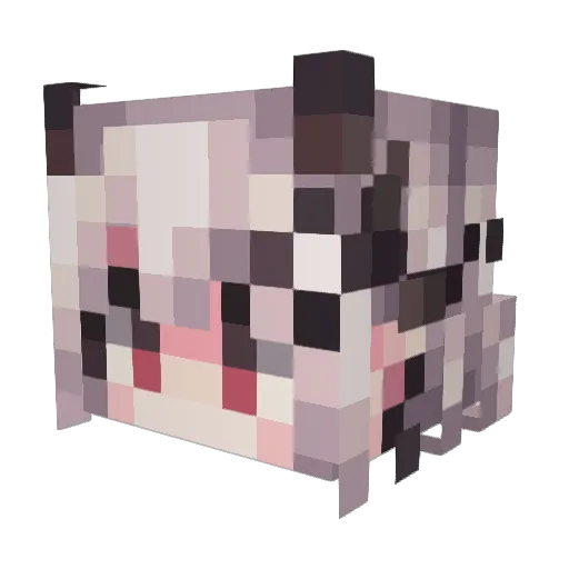 qijiu233 Minecraft avatar head, 3D render