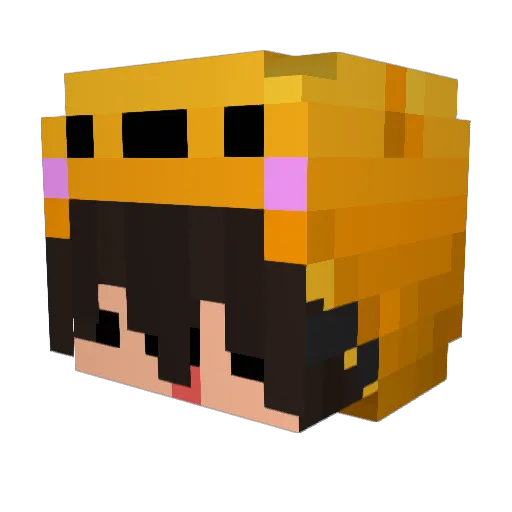 qind_JR Minecraft avatar head, 3D render