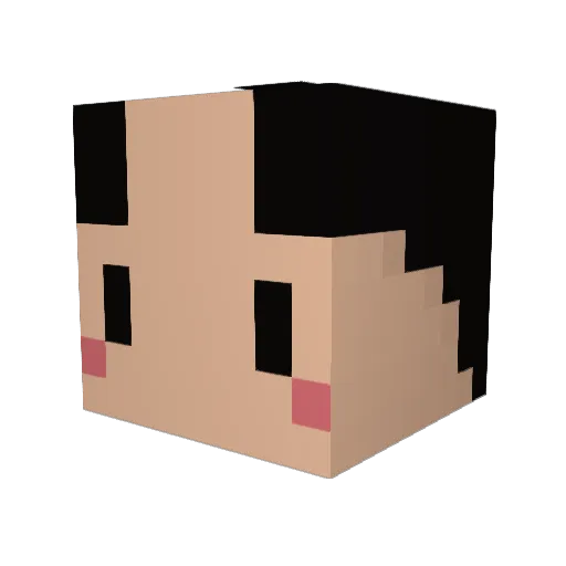 qingchu520 Minecraft avatar head, 3D render