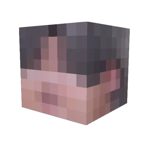 qiqipipi Minecraft avatar head, 3D render