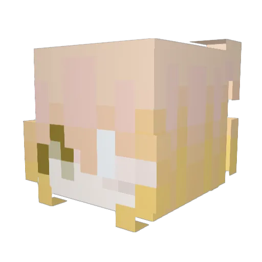 qiqt Minecraft avatar head, 3D render