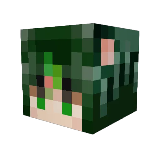 qisanecho Minecraft avatar head, 3D render