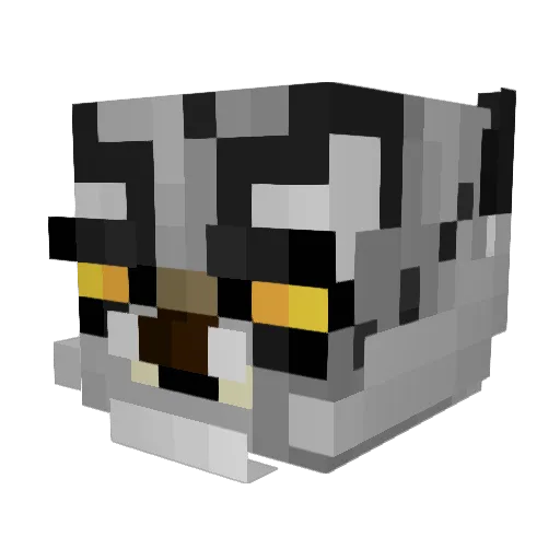 qjdn Minecraft avatar head, 3D render
