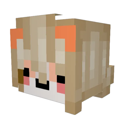 qktjsej Minecraft avatar head, 3D render