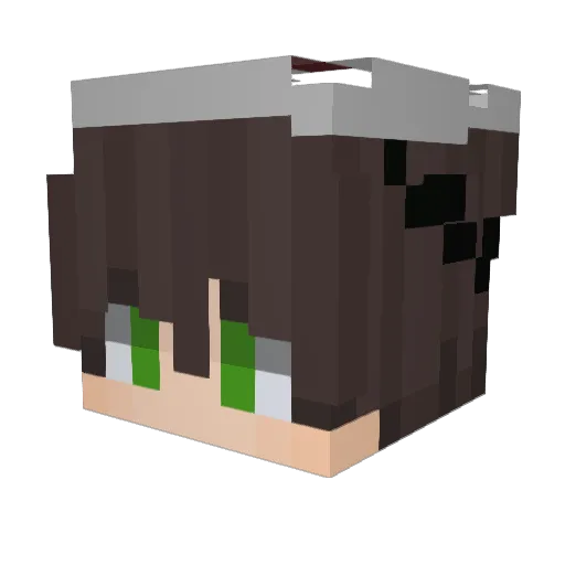 qlix Minecraft avatar head, 3D render
