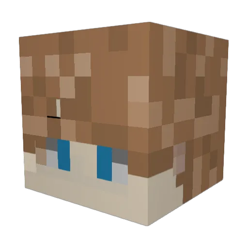 qlwjs10skr Minecraft avatar head, 3D render