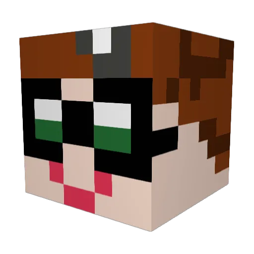 qminwood Minecraft avatar head, 3D render