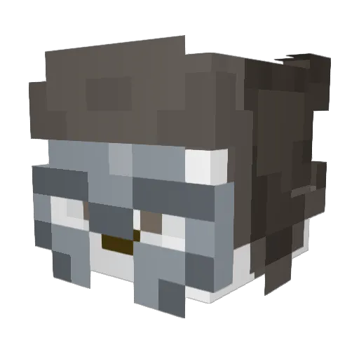 qmizox Minecraft avatar head, 3D render