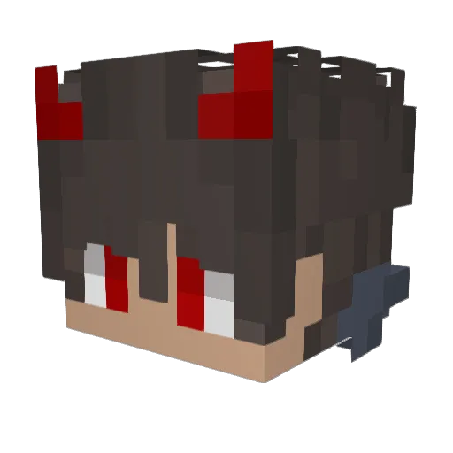 qn9 Minecraft avatar head, 3D render