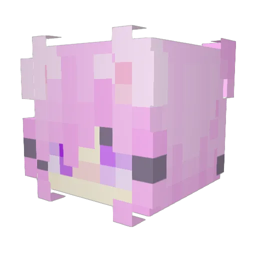 qnizz Minecraft avatar head, 3D render
