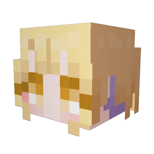 qnof Minecraft avatar head, 3D render
