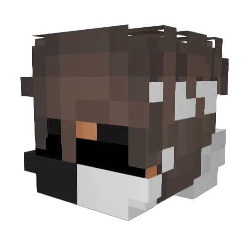 qodSchaumiii Minecraft avatar head, 3D render