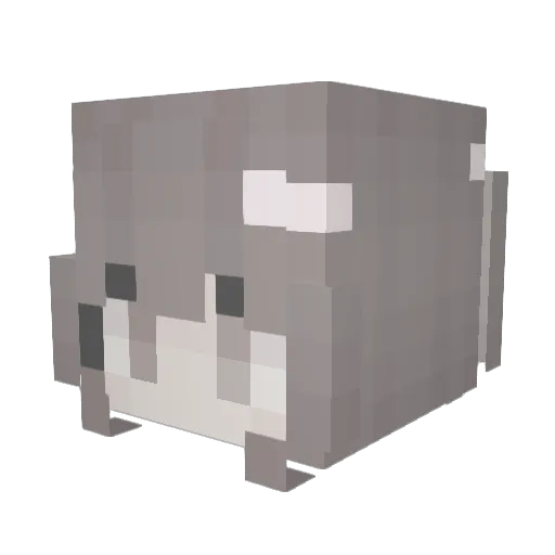 qodxiao Minecraft avatar head, 3D render