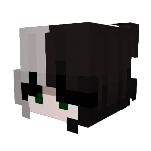 qolive Minecraft avatar head, 3D render