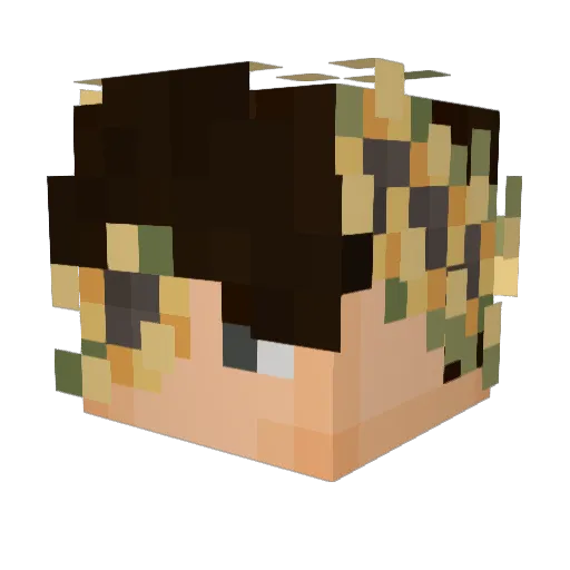 qooly Minecraft avatar head, 3D render