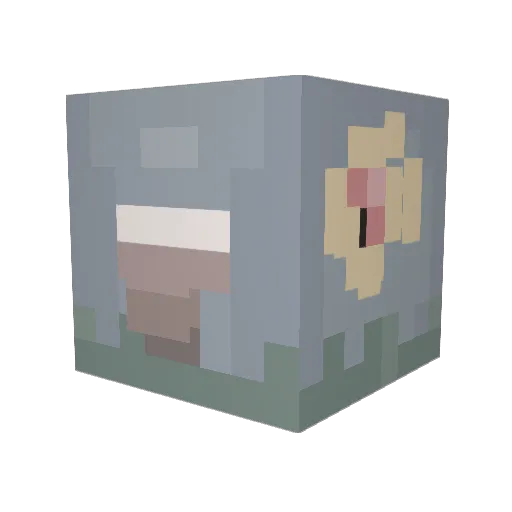 qoooma Minecraft avatar head, 3D render