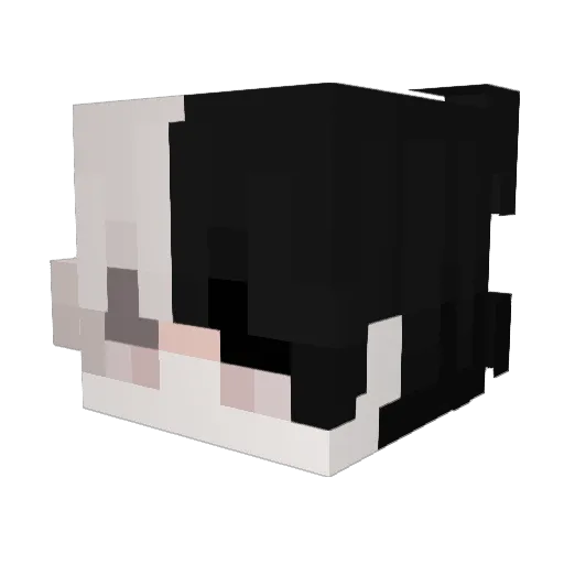 qoqto11 Minecraft avatar head, 3D render