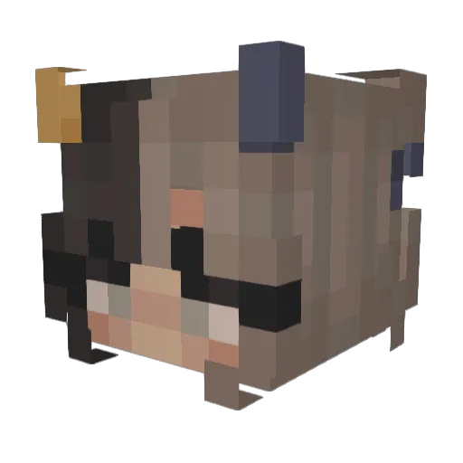 qothdoll Minecraft avatar head, 3D render