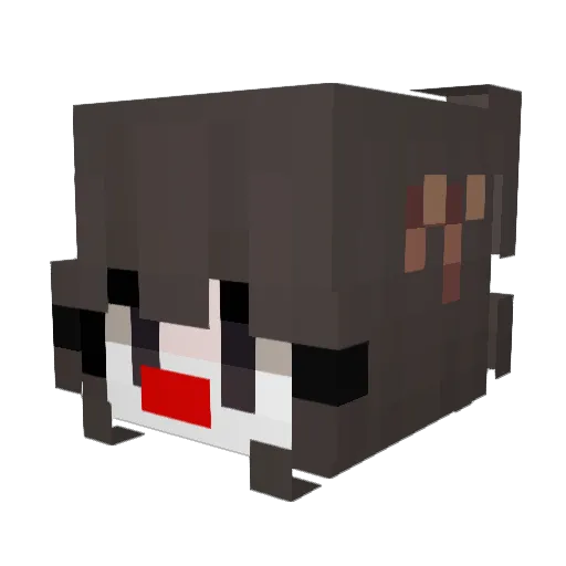 qowewwyda Minecraft avatar head, 3D render