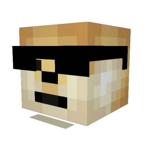 qoxorms Minecraft avatar head, 3D render