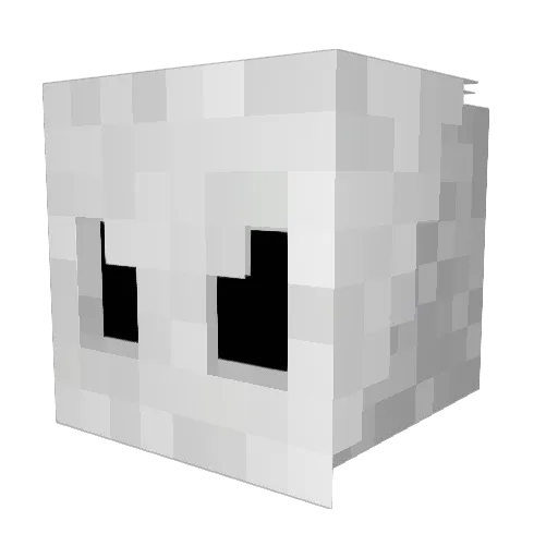 qpgotit Minecraft avatar head, 3D render