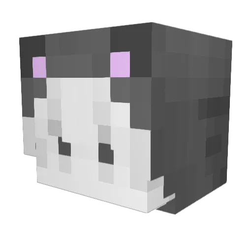 qpples Minecraft avatar head, 3D render