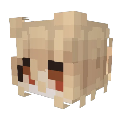 qqMrsWorthless Minecraft avatar head, 3D render