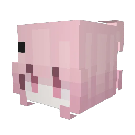 qqpp2233 Minecraft avatar head, 3D render