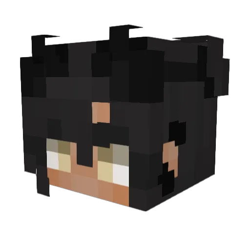 qqueued1 Minecraft avatar head, 3D render