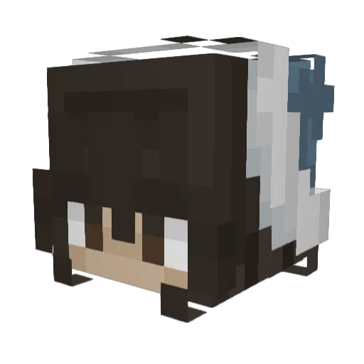 qrrq Minecraft avatar head, 3D render