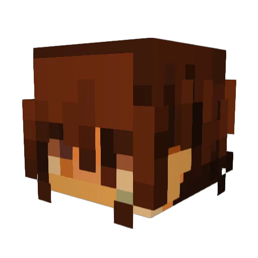 qrws Minecraft avatar head, 3D render