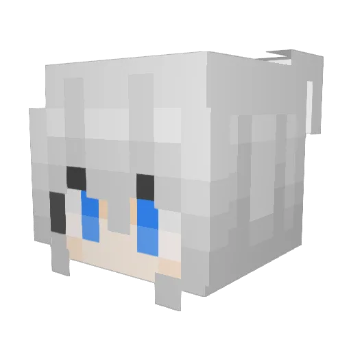 qs_zzznb Minecraft avatar head, 3D render