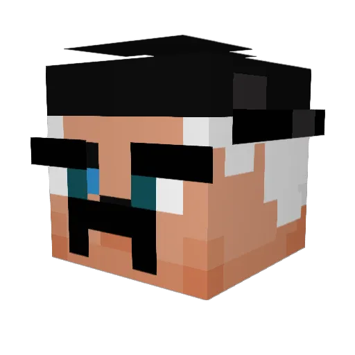 qsoe Minecraft avatar head, 3D render