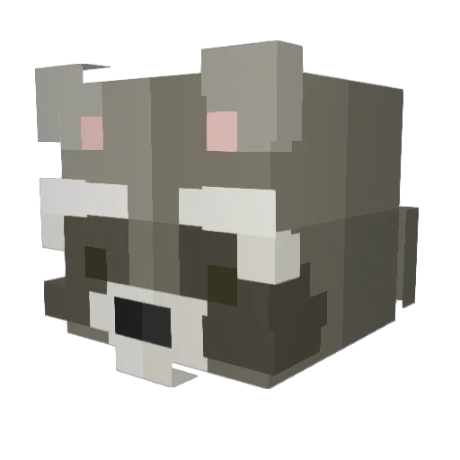 qsol Minecraft avatar head, 3D render