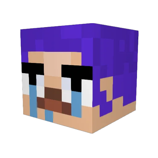 qsphinX_ Minecraft avatar head, 3D render