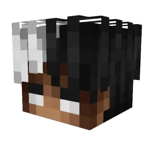 qsps_ Minecraft avatar head, 3D render