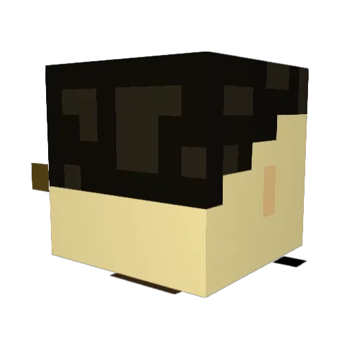 qtFuZo Minecraft avatar head, 3D render