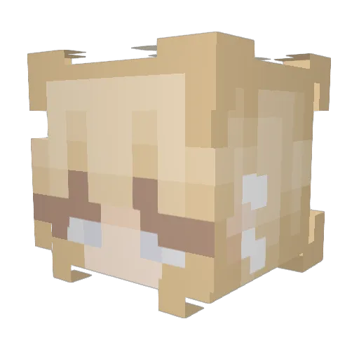 qtKatie06 Minecraft avatar head, 3D render