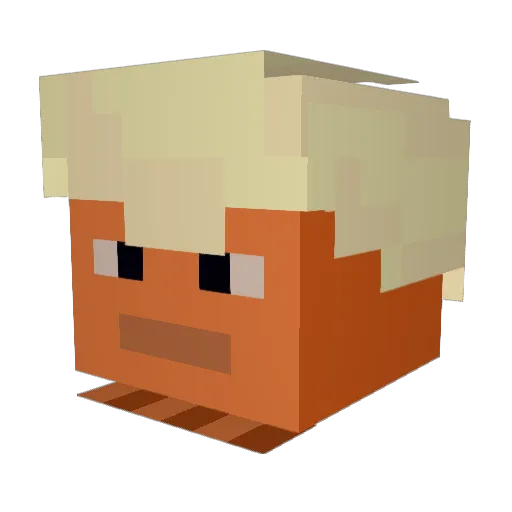 qt_Sage Minecraft avatar head, 3D render
