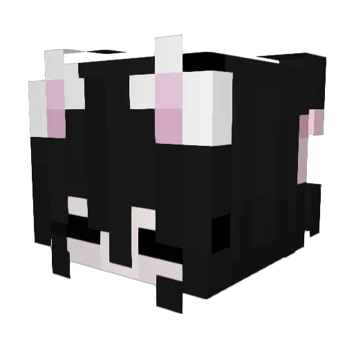 qt_chasney Minecraft avatar head, 3D render
